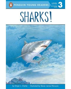 Sharks! (Penguin Readers, Level 3)