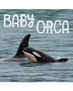 Baby Orca