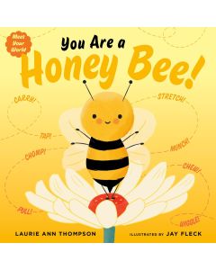 Meet Your World: You Are a Honey Bee! (Board Book)