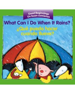 What Can I Do When It Rains? / Â¿QuÃ© puedo hacer cuando llueve? (Bilingual