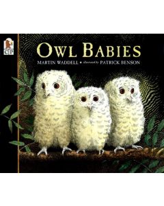 Owl Babies (Carton of 70 Paperbacks)