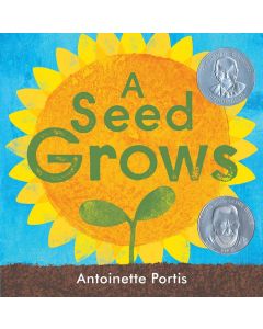 A Seed Grows