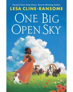 One Big Open Sky