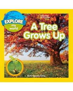 Explore My World: A Tree Grows Up