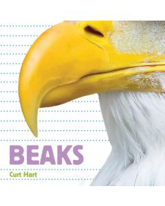 Whose Is It? Beaks