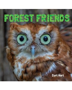 Forest Friends