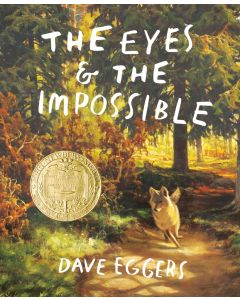 The Eyes and the Impossible