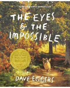The Eyes and the Impossible