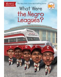 What Were the Negro Leagues?
