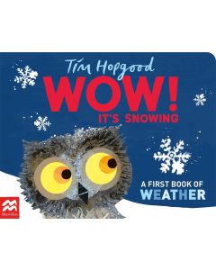 WOW! It's Snowing: A First Book of Weather