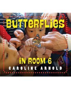 Life Cycles in Room 6: Butterflies in Room 6: See How They Grow