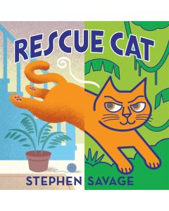 Rescue Cat