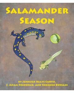 Salamander Season