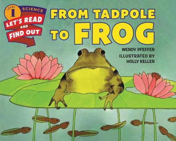 Frog tadpole review clearance